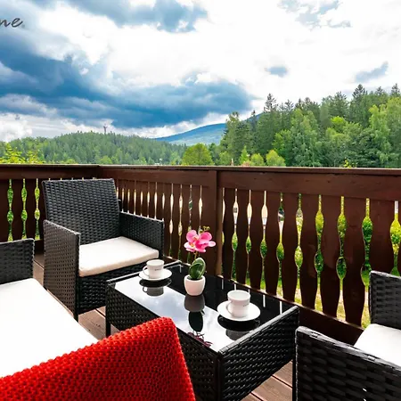 Apartman Old - Blisko Centrum I Wyciagow